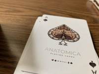 Anatomica (poker deck)