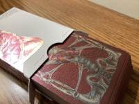 Anatomica Alterna (poker deck)