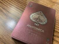 Anatomica Alterna (poker deck)