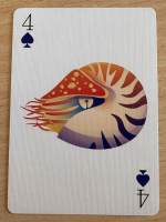 Biome (poker deck)