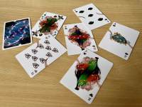 Flower Moon Clothes (poker deck)