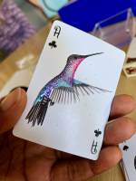 Hummingbird Feathers Red (poker deck)