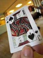 Hummingbird Feathers Red (poker deck)