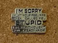 I Thought You Knew (pin badge)