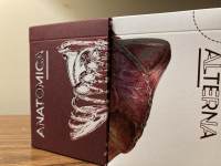 Items in the Anatomica