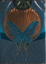 Alis Luminis tuck box
