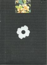 Flora Black tuck box