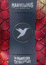 Hummingbird Feathers Red tuck box