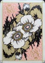 Cartes Indiennes (reproduction) tuck box