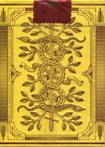 Monarchs Mandarin tuck box