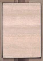 Shiki Poets Silver